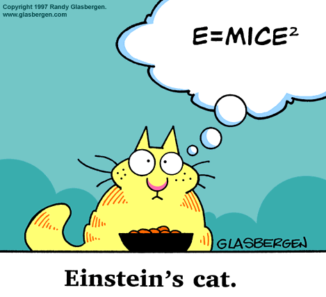 Einsteinscat