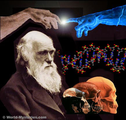 wm_darwin