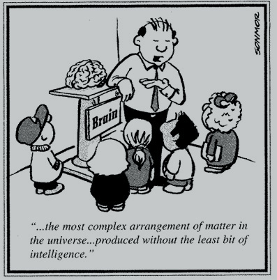 creationisthumorusers.skynet.be