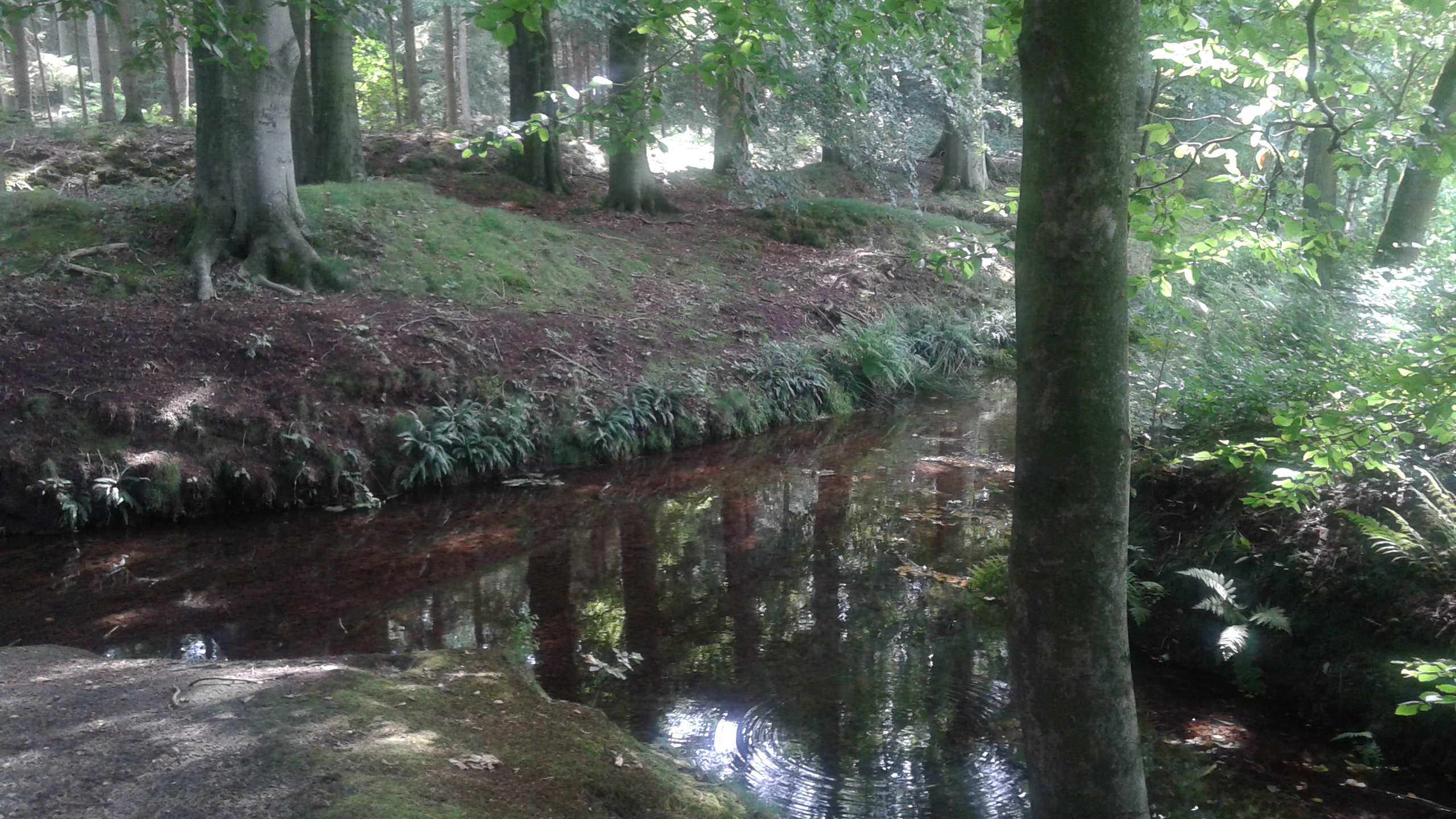 gelovenineenbeterewereld©pd