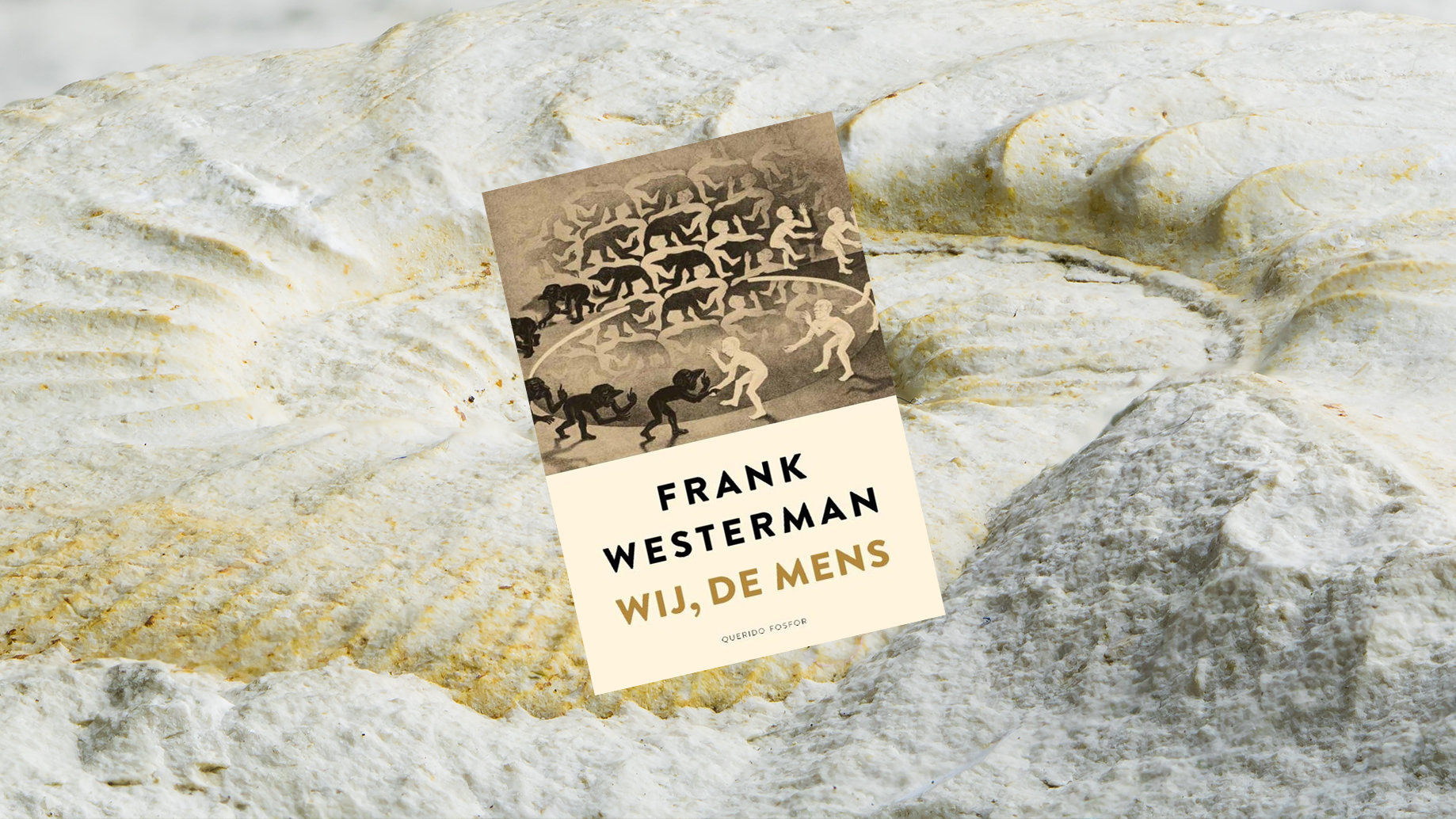 Frank-Westerman-wij-de-mens-header