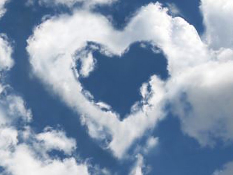 In-de-Cloud-vtmgroep.nl